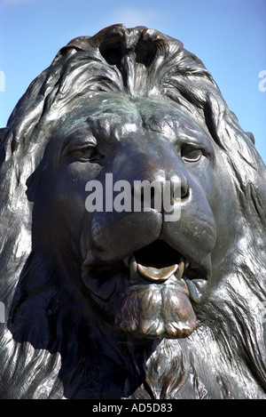 Close up di un leone statua in Trafalgar Square Londra Gran Bretagna REGNO UNITO Foto Stock