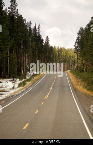 La strada attraverso il Parco Nazionale di Yellowstone. Montana di Stato. Stati Uniti d'America Foto Stock