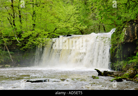 Superiore Ddwli Sgwd cascata con un grande volume di acqua che fluisce oltre cade su Nedd Fechan river vicino Pontneddfechan South Wales UK Foto Stock