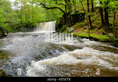 Superiore Ddwli Sgwd cascata con un grande volume di acqua che fluisce oltre cade su Nedd Fechan river vicino Pontneddfechan South Wales UK Foto Stock