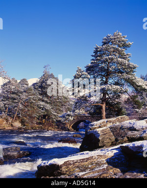 Falls of Dochart, Killin, Stirling, Scozia, Regno Unito Foto Stock
