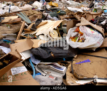 I prodotti di scarto in discarica il cambiamento climatico inquinamento volare il ribaltamento Foto Stock