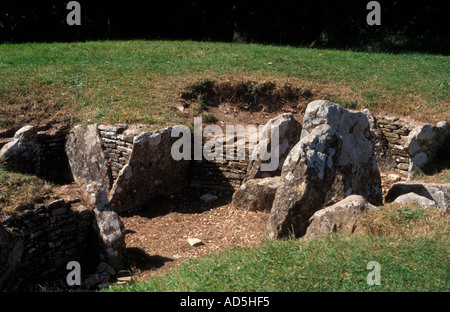 Nympsfield long barrow Gloucestershire Foto Stock