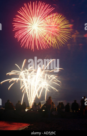 Fuochi d'artificio del 4 di luglio nel Connecticut USA Foto Stock