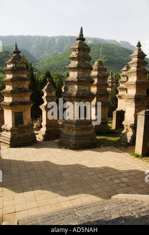 Pagoda cimitero di foresta al tempio Shaoling il luogo di nascita del Kung Fu arti marziali Shaolin nella provincia di Henan in Cina Foto Stock