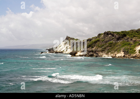 Scogliere da Paolo punto, Barbados Foto Stock