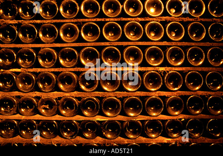 Il Portogallo valle del Douro porta bottiglia di vino Bottiglie Vila Nova de Gaia Cockburn Foto Stock