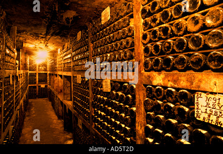 Il Portogallo valle del Douro porta bottiglia di vino Bottiglie Vila Nova de Gaia Cockburn Foto Stock