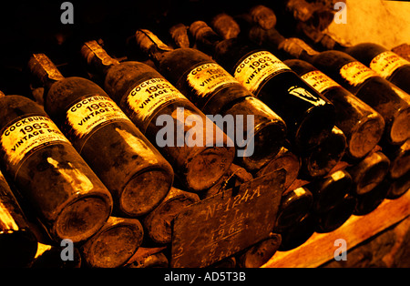 Il Portogallo valle del Douro porta bottiglia di vino Bottiglie Vila Nova de Gaia Cockburn Foto Stock