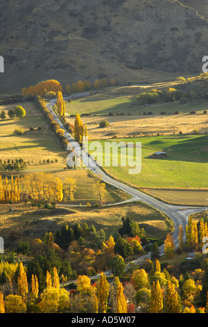 Campagna vicino a Arrowtown Central Otago Isola del Sud della Nuova Zelanda Foto Stock