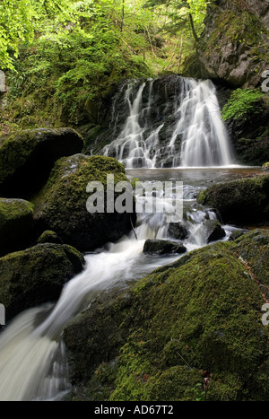 Fairy Glen cascate, Rosemarkie, Black Isle, altopiani, Scozia Foto Stock