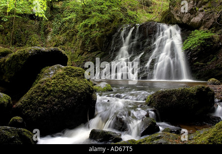 Fairy Glen cascate, Rosemarkie, Black Isle, altopiani, Scozia Foto Stock