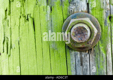 Bullone a legno, verde, weathered Foto Stock