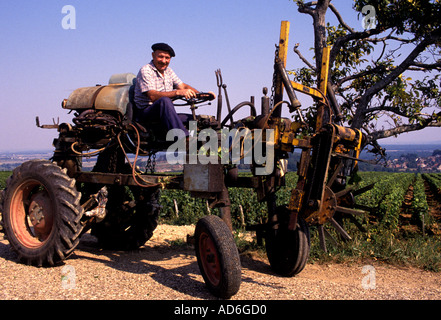 Francia vino Bourgogne trattore vecchio contadino uomo Borgogna Foto Stock