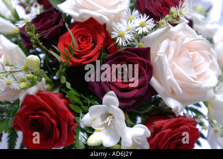 Rosso e rose bianche,Bouquet nozze,,fiori. Foto Stock