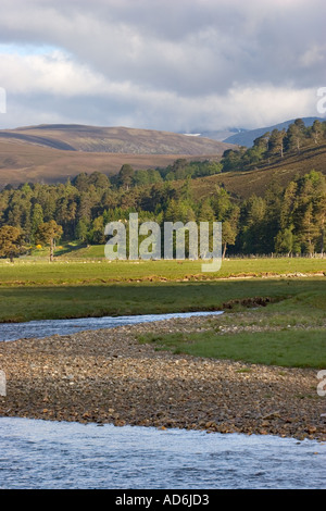 Riverside e la tomaia catchement area, fiume Dee a Braemar a Ben Macdui in Cairngorm National Park Aberdeenshire Scozia riverside tourist Foto Stock