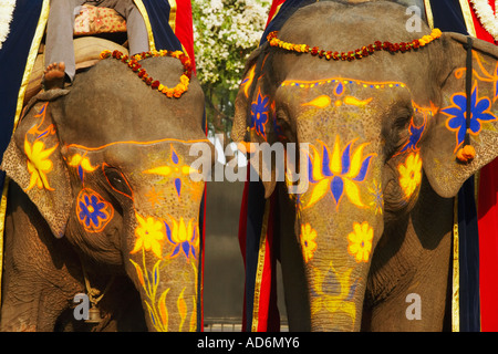 Close-up di due elefanti decorati Foto Stock