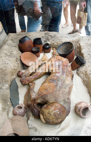 Gebelein uomo, una mummia naturale dal periodo Predynastic sepolto intorno 3500 BC, il British Museum di Londra, Regno Unito Foto Stock