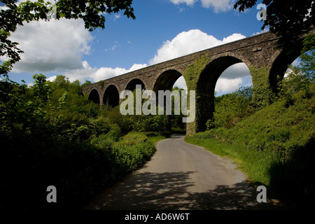 Viadotto ferroviario in disuso a Waterford Dungarvan linea, ora parte della Deise Greenway via, Kilmacthomas, nella contea di Waterford, Irlanda Foto Stock