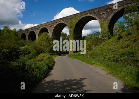 Viadotto ferroviario in disuso a Waterford Dungarvan linea, ora parte della Deise Greenway via, Kilmacthomas, nella contea di Waterford, Irlanda Foto Stock