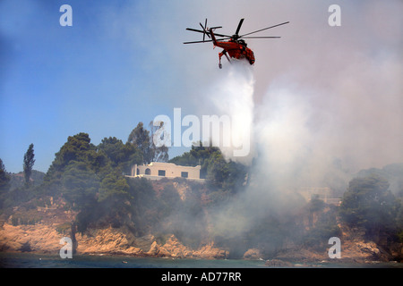 Grecia Sporadi isola Skiathos combattendo contro un bosco selvatico fuoco su 12 Luglio 2007 Foto Stock