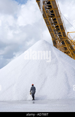 Cargill sale solare il funzionamento a sud della fine Bonaire, Netherland Antillies Foto Stock