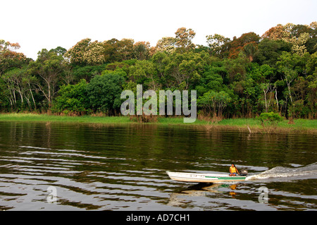 Foresta Riparien lungo un affluente del Rio delle Amazzoni Amazzonia Brasile Foto Stock