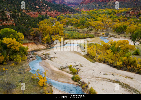 Fiume vergine e i colori dell'autunno sugli alberi sotto le scogliere in Zion Canyon Zion National Park nello Utah Foto Stock