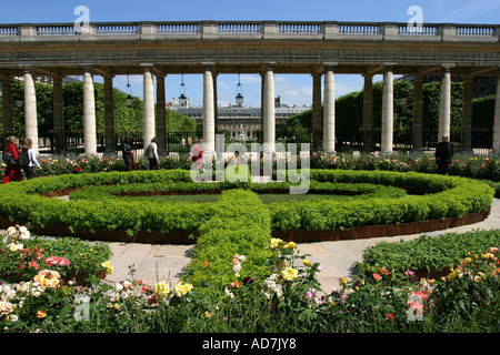 Temporary floral display at Palais Royal Paris France Foto Stock
