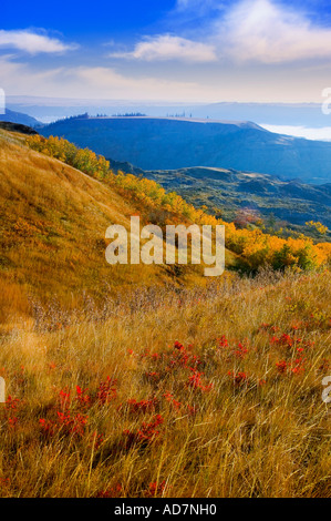 Isola secca Buffalo Jump parco provinciale Foto Stock