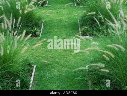 Cortile paesaggistico con erbe ornamentali Foto Stock