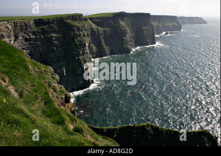 Una vista delle scogliere con l'erba di prato aggrappato alla roccia in primo piano le scogliere di Moher County Galway Irlanda Foto Stock