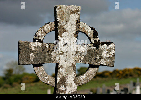 Licheni e muschi formano un mosaico sopra una croce celtica grave marker Abbazia Burrishoole Paese Mayo Irlanda Foto Stock
