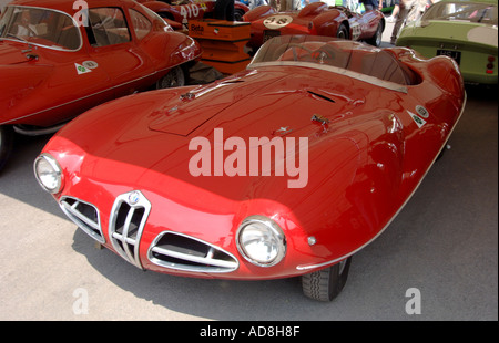 1959 Alfa romeo Dicso Volante Spyder a Goodwood Festival della velocità 2005 Foto Stock