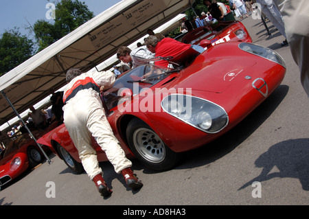 1971 Alfa Romeo Tipo 33 Le Mans a Goodwood Festival della velocità 2005 Foto Stock