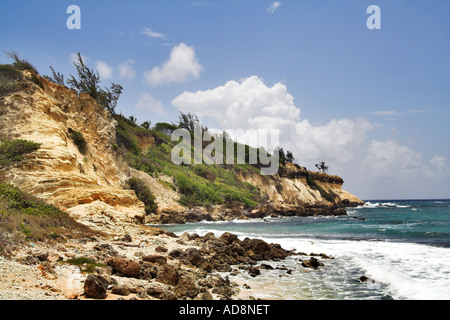 Gay's Cove, Costa Orientale di Barbados Foto Stock