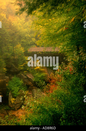 20 295 Sentinel pine ponte coperto di Franconia Notch parco dello stato del New Hampshire Foto Stock