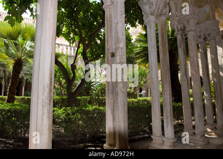 Chiostro, vecchio convento francescano a Dubrovnik città murata Foto Stock