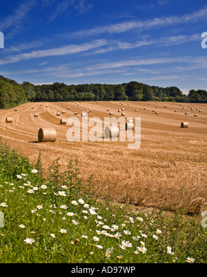 Balle di fieno, Hampshire, Inghilterra Foto Stock