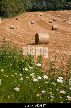 Balle di fieno, Hampshire, Inghilterra Foto Stock