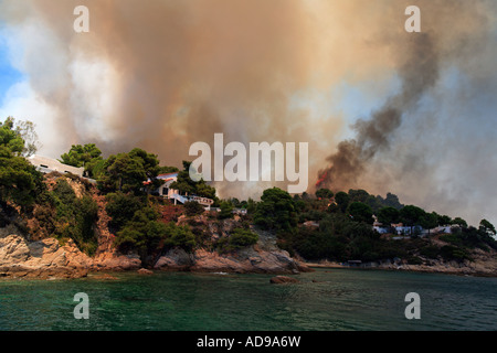 Grecia Sporadi isola Skiathos combattendo contro un bosco selvatico fuoco su 12 Luglio 2007 Foto Stock