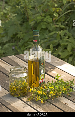 Tutsan (Hypericum perforatum), di prodotti cosmetici naturali da Tutsan in olio di oliva Foto Stock