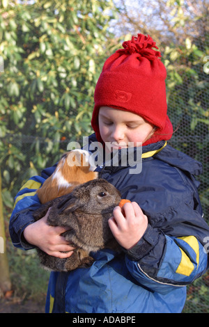 Il coniglio domestico (oryctolagus cuniculus f. domestica), alimentati con una carota Foto Stock