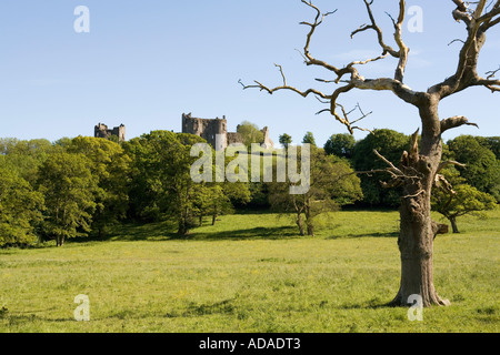 Carmarthenshire Galles Carmarthen Llanstephan castle Foto Stock