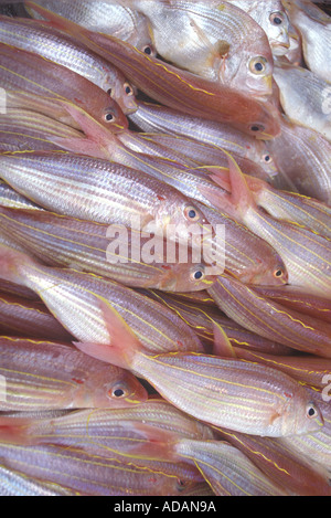 Mercato del Pesce molti pesce fresco Dettaglio, Hong Kong Cina Foto Stock