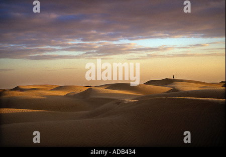 Lone figura in piedi sulle dune al tramonto nel deserto del Sahara Douz Tunisia Foto Stock