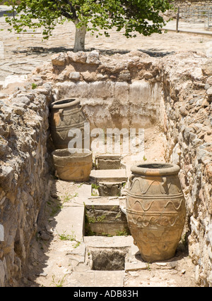 Grandi pithoi antico, simile alle anfore, a Minoan sito dello scavo di Cnosso / Creta / Grecia Foto Stock