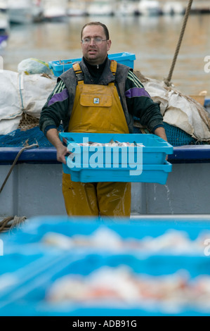 Catture vengono scaricate dal peschereccio da traino commerciale Foto Stock