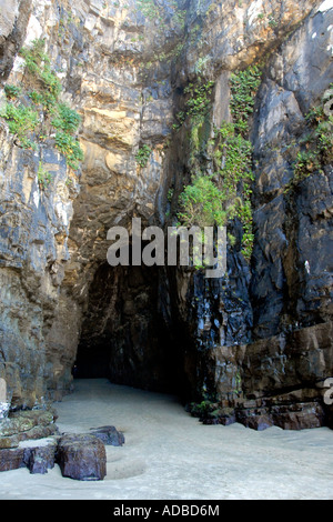 Ingresso Grotta Cattedrale Waipati Catlins spiaggia di Isola del Sud della Nuova Zelanda Foto Stock