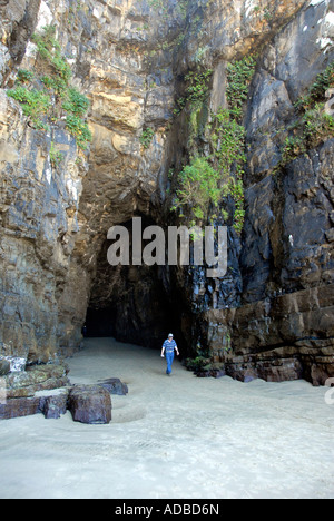 Ingresso Grotta Cattedrale Waipati Catlins spiaggia di Isola del Sud della Nuova Zelanda Foto Stock